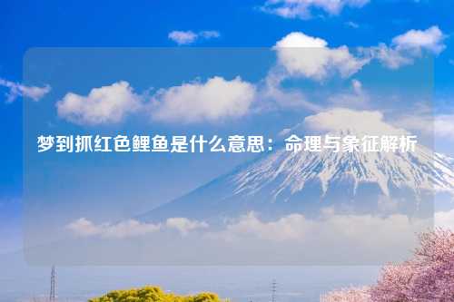 梦到抓红色鲤鱼是什么意思：命理与象征解析