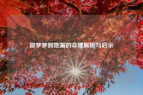 做梦梦到地漏的命理解析与启示