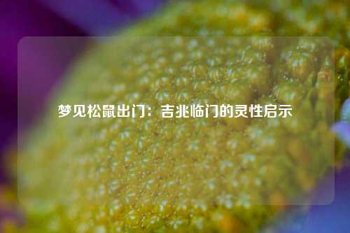 梦见松鼠出门：吉兆临门的灵性启示