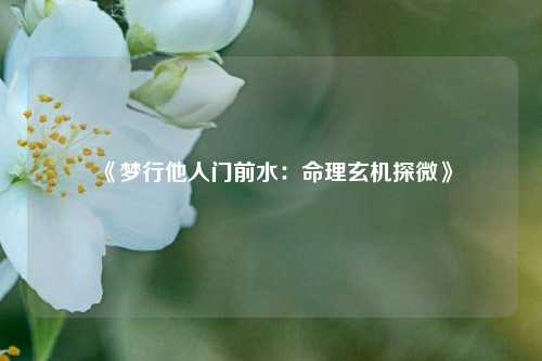 《梦行他人门前水：命理玄机探微》