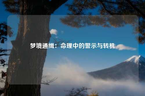 梦境通缉：命理中的警示与转机