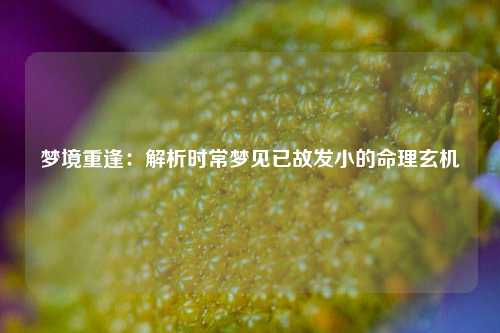 梦境重逢：解析时常梦见已故发小的命理玄机