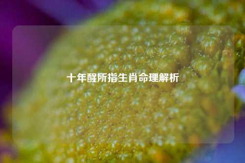 十年醒所指生肖命理解析