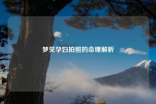 梦见孕妇拍照的命理解析