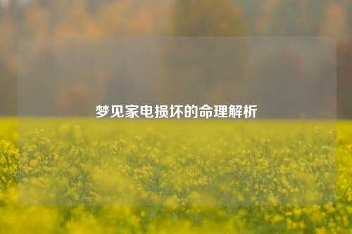 梦见家电损坏的命理解析