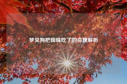 梦见狗把蜘蛛吃了的命理解析