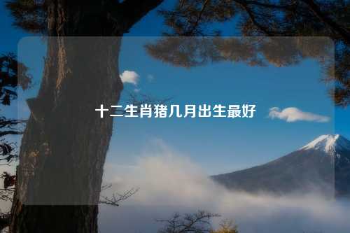 十二生肖猪几月出生最好