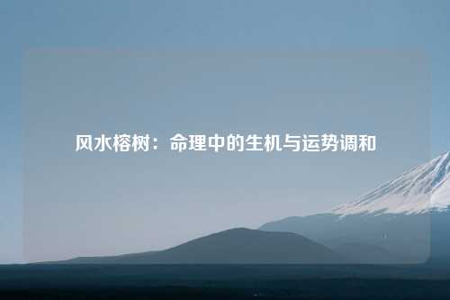 风水榕树：命理中的生机与运势调和